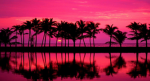 .RadIant. .DesIgns.