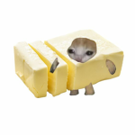 Butter's fan group.