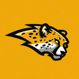 Cheetahs arena shl