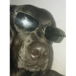 NERIOS