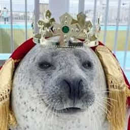 Seal-a-venture