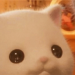 kitskats
