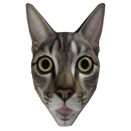 Ai calico cat beatbox