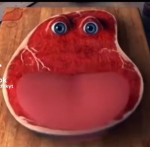 MEATTOY