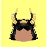 Nova’s Explosion