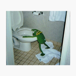 The Epic Kermit's