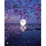 MoonLight Magic!