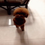 [흐름]