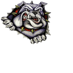 ~ Detroit Bulldogs ~ ™