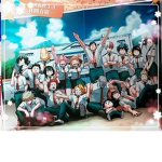 Mha rp only