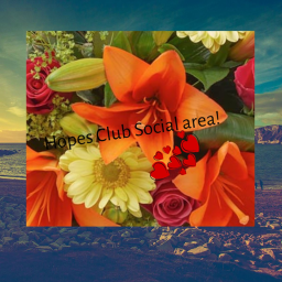 Hopes Club Social Area!