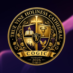 TVHCC | The Cathedral