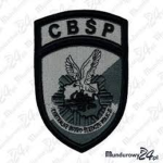CBŚP Policja Polska [RP]