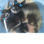 Mimi Plays Mimi