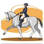 Western/English Pleasure Riding Academy