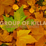 GROUP OF KILLA