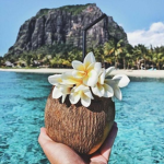 ~Tropicalx clothing<3~