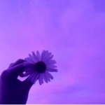 AestheticClub