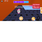 Sunny team