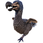 DoDo Squad capture team