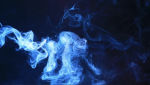 Xper Games Fan Group