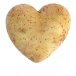 Potatoyota Club