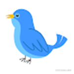 du du bird is sean