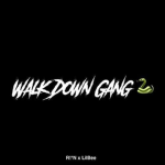 ¥Walk Down Gang¥