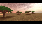 African Safari Tours