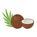 The coconut sqaud