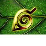 "The Hidden Leaf Village"