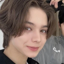 ✧ icon