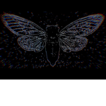 Cicada/3301