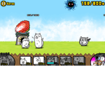 Kittys vs dogs
