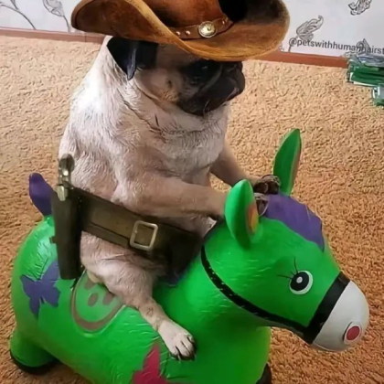 A very cute dog Roblox decal