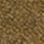 SkyBlocks Team