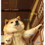 PLane doge