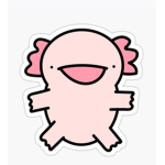 Axolotl shane group!