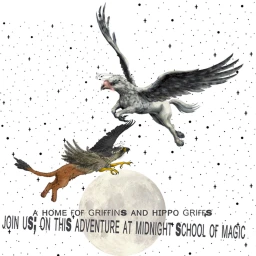 Midnight school of magic. icon