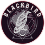 The Blackbird Contingency