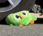 Duolingo fan crew!