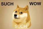 Such wow such DOGE