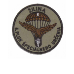 5th Special Operations Regiment | AFSR