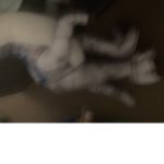 Roblox you were of bad words please