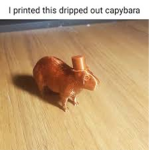 My pet hamster