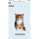Cat cat cat car