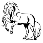 Horse Fan