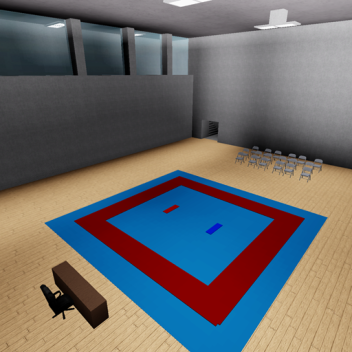 Karate Competition Area