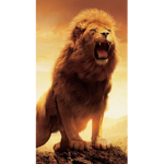 Leo's Territory