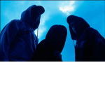 Official Night Fury Group